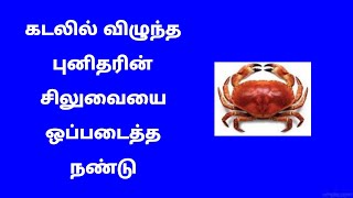 கடலில் விழுந்த புனிதரின் சிலுவையை தேடி கண்டுபிடித்து புனிதரிடம் ஒப்படைத்த கடல் நண்டு