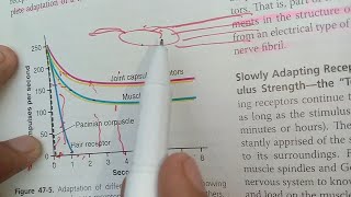 CNS Guyton chap 47 |part 2 |Receptor adaptation |physiology