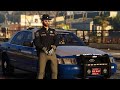 ThinLineSanctuary | SAST Uniform & Livery Package