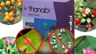 #Godrej Agrovet Hanabi #Hanabi  #Pyridaben 20% w/w WP  # Red mites.హనాబీ #ఎర్రనల్లి