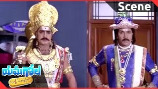 Yamagola Malli Modalayindi || Srikanth, Venu Plan To Kills Meera Jasmine   || Srikanth, Venu