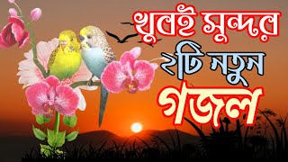 দিন দুনিয়ার মালিক আল্লাহ বড়ই মেহমান // বাংলা নতুন বছরের সেরা গজল // bangla gojol 2023