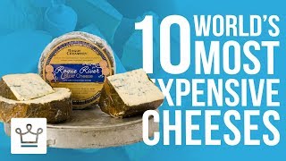 Top 10 Most Expensive Cheeses In The World
