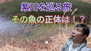 【北九州ガサガサ】紫川を巡る旅