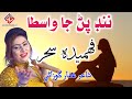 NADH PINR JA WASTA - Fahmeeda Sahar - Sindhi Song - Hi Res Audio - Shan Enterprises A1