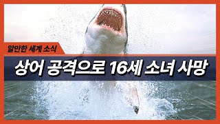 상어 공격으로 16세 소녀 사망