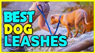 👌Top 5: Best Dog Leashes in 2024 - The  Best Dog Leashes{Reviews}