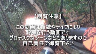 【閲覧注意】忍び猟ヘッドショットで鹿を獲る【狩猟】