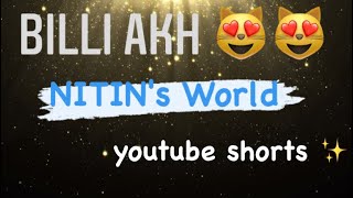 Billi akh 😻 | Nitin's World | Nitin bassi choreography| #shorts | YOUTUBE SHORTS  ✨ ❤️
