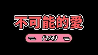 天善緣｜泰國老正｜不可能的愛（1/4）