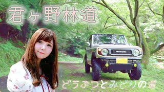 【ジムニー林道】君ヶ野林道 三重県美杉町 ～どうぶつとみどりの道～