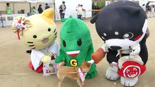 2019 0427肉フェス01ご当地キャラクター大集合　出演前のふれあいタイム