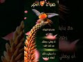 رسائل صباحيه🍁صباح الخير حالات واتساب🍁 صباحيات حالات واتس🍁 الصباح🍁 ستوري🍁 ستوريات_انستا🍁 ستوريات_نور🍁