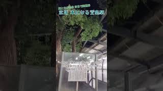 《京阪》駅と木が合体 異世界みたいな駅がありました！《萱島駅 萱島の大クスノキ》