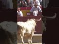 Aarón Grande quebrando al toro jabonero.