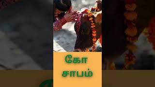 கோ சாபம் - KO SABAM #astrology #tamilastrology#tamil#horoscope #tamilhoroscope #zodiac #predictions