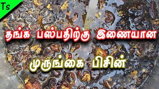 முருங்கை பிசின் மருத்துவ பயன்கள்- Murungai Pisin Benefits Tamil