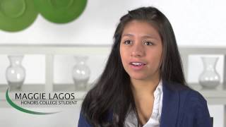 Honors 110: What are the steps in the HNRS 110 research process?