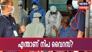 എന്താണ് Nipah Virus? രോഗത്തെ എങ്ങനെ പ്രതിരോധിക്കാം? ഡോ ശ്യാം സുന്ദർ വിശദീകരിക്കുന്നു