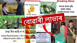 বোৱাৰী লাভাৰৰ অৱস্থা🤔 || Viral Assamese Buwari Lover Video ||