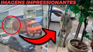 BOI BRAVO CAI DE CAMINHÃO E ATACA LOJA DE ROUPAS