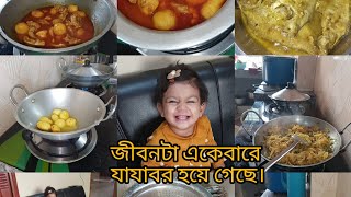 জীবনটা একেবারে যাযাবর হয়ে গেছে। একা হাতে একটা সংসার সামলানো কিন্তু মুখের কথা নয়।।