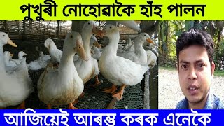 হাহঁ পালনৰ কিছু জানিবলগা কথা