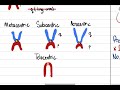 different positions of the centromere 20