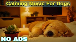 12 HOURS of Dog Calming Music for Dogs🦮💖Anti Separation Anxiety Relief Music🐶🎵Music for Dogs