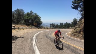 Velocurean Destination: Cycling Palomar Mountain