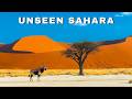 Unseen Sahara | Hidden Wonders of The World's Largest Desert | Video Travel 4K