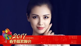 2017 CCTV Spring Gala Reports — LIU Tao | CCTV Gala