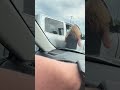 road raging man tries to punch out a drivers window 👀😂