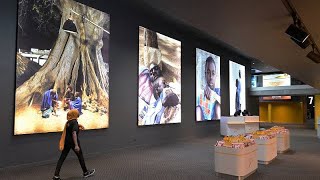 Dakar welcomes one of the largest cinemas in West Africa