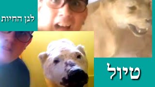 Avi Trips טיול לגן החיות trip to zoo