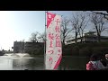 🔴桜の名所めぐり【新屋・高清水公園・千秋公園・太平川・一つ森公園】今年はコロナウイルスの影響で花見客激減（昨年の映像）.