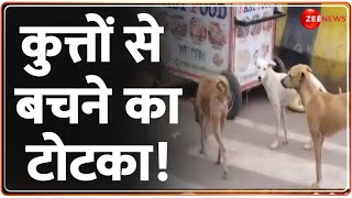 कुत्तों से बचने का टोटका! | Stray Dogs | Baat Pate Ki | Totka | Secret | Red Water in Bottle