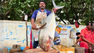 KASIMEDU🔥SPEED SELVAM | 32 KG GIANTS COCONUT TREVALLY FISH CUTTING VIDEO | IN KASIMEDU | FF CUTTING🔪