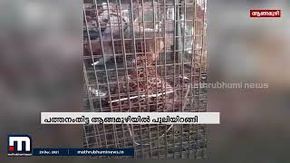 പത്തനംതിട്ടയിൽ പുലിയെ പിടികൂടി | Mathrubhumi News