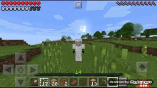 Minecraft:Mundo insano #3 -Contruir uma casa na arvore -