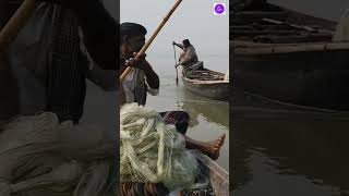 জেলেদের নৌকায় উঠে মাছ ধরার মজাই আলাদা। #shortvideo #fishing #bdfishvlog