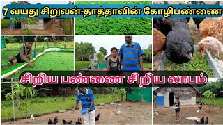 7வயது சிறுவன்-தாத்தாவின் சிறியகோழி பண்ணை/ Mini poultry farm