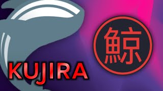 What is Kujira? - Kujira KUJI DeFi Ecosystem Explained