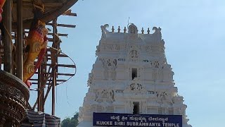 kukke subramanya temple darshan live