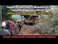 GEGER !!JUTAAN ORANG TERHARU MELIHAT WANITA CANTIK HIDUP SENDIRI DI DALAM HUTAN JAWA TIMUR