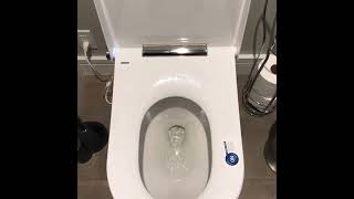 Axent 1c Plus Intelligent Toilet Installation by Lutz Plumbing Inc.