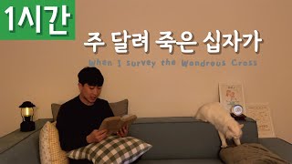 [1시간 반복재생] [찬송가 149장] 주 달려 죽은 십자가 (When I Survey the Wondrous Cross)ㅣ호연하다