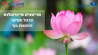 מיינדפולנס: תרגול 5 - תחושות גוף