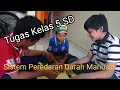 Tugas Kelas V SD || Membuat Alat Peraga Sistem Peredaran Darah Manusia