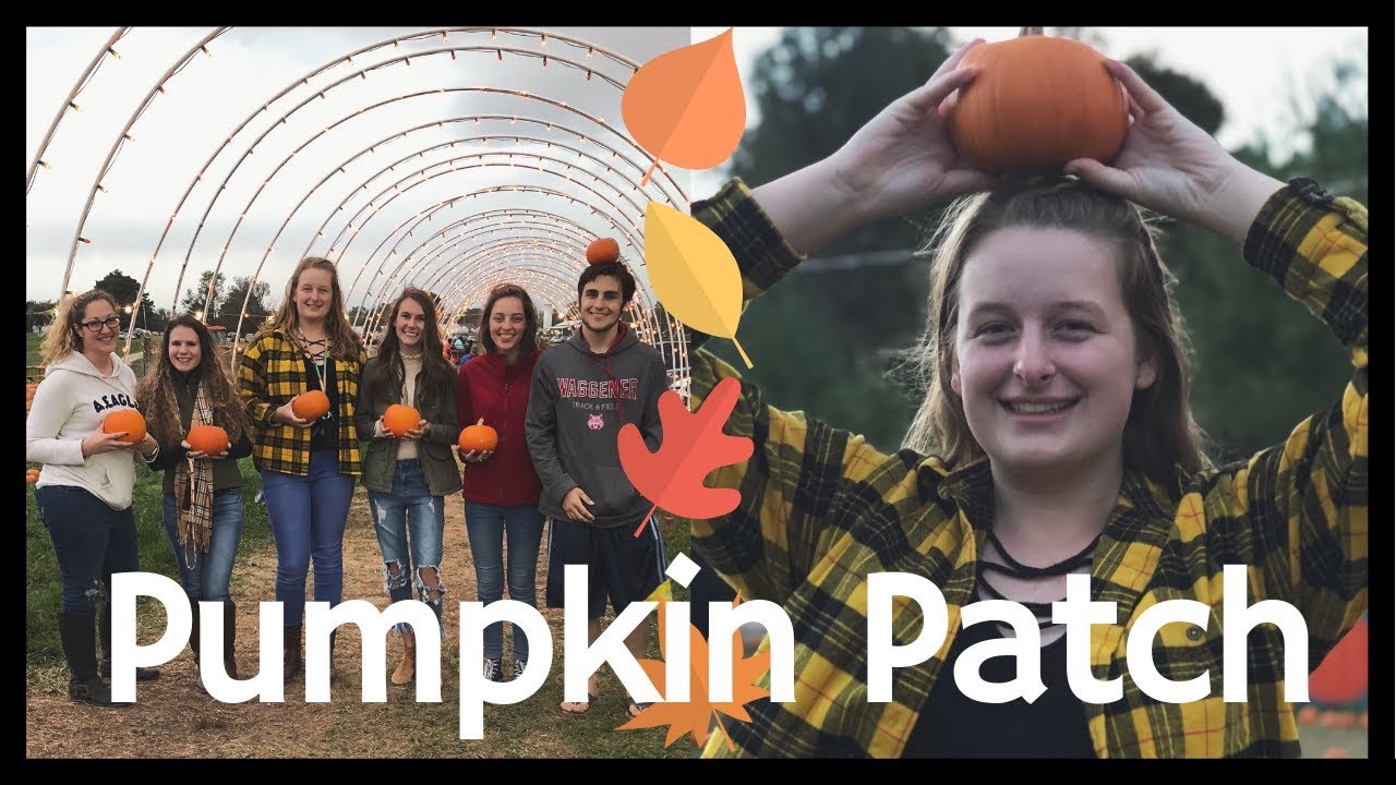 Pumpkin Patch Vlog Youtube
